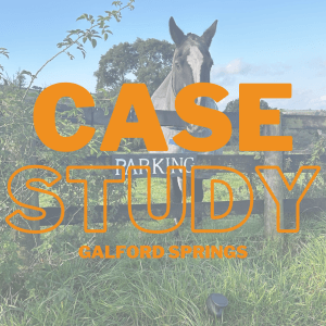 case study: galford springs case study: Galford Springs